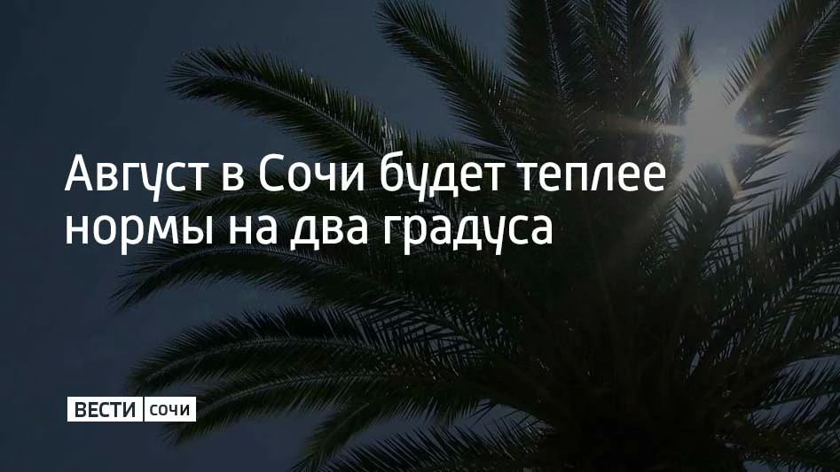 В последний месяц лета в Сочи будет на два градуса теплее обычного — днем воздух может стабильно прогреваться выше +30, сообщили в Яндекс Погоде