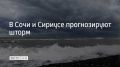 �� ��������� ����������, �� ������ �������� ��� � ������� 29 ���� � ��������� ������� ����� ���� �����