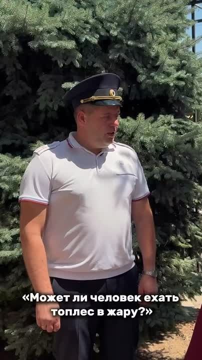 Летний блиц для Госавтоинспекции!