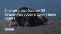 � 2026 ���� 99 ����� �� ���������� ������ �� ��������� � ��������� ��� ���������� ������ ���