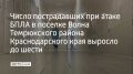 В поселке Волна Темрюкского района число пострадавших при атаке беспилотников увеличилось до шести человек, сообщили в оперштабе Краснодарского края