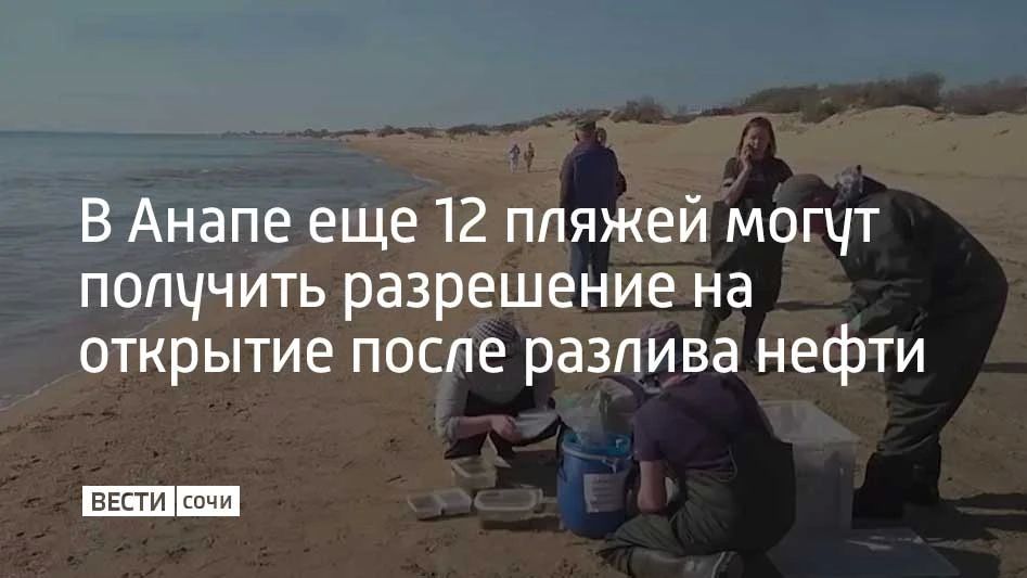 100 пляжей Анапы после разлива нефтепродуктов уже получили разрешение на открытие от Роспотребнадзора, еще 12 проходят экспертизу, сообщили в оперштабе Краснодарского края