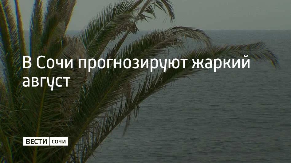 Синоптики предупреждают: уже 1 августа в Краснодарском крае воздух днём раскалится до 37 градусов
