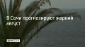 Синоптики предупреждают: уже 1 августа в Краснодарском крае воздух днём раскалится до 37 градусов