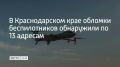 � ���������-�������� ��������� ���� �������