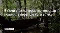 Женщина отправилась на прогулку в лес неподалеку от ручья Сванидзе, где получила травму ноги