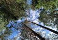 Магнитную бурю «перенесли» на вечер воскресенья