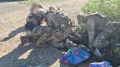 Новости к этому часу:. До четырех выросло число погибших в результате падения обломков БПЛА вблизи Геленджика, сообщили в оперштабе Краснодарского края