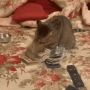 Россияне перестали считать деньги?
