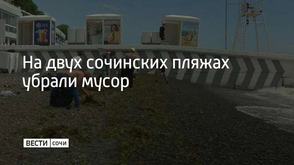 Бытовой мусор нашли на пляже "73 километр" в Лазаревском районе и на "диком" пляже между "Морской далью" и "Якорной Щелью", рассказали в администрации Сочи