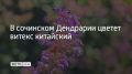 � ����� "���������" � ���� ������ ������ ��������� � ������� ��������� � �������� ���������� ����������, ���������� � ������� ������� ������ �� 30 �����������
