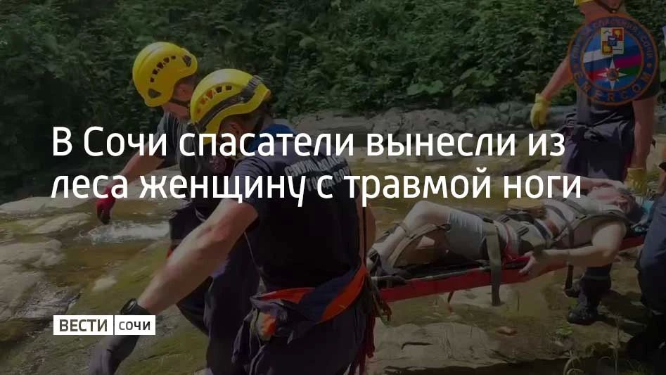 Сочинские спасатели эвакуировали из леса женщину, которая повредила ногу на ручье Сванидзе и не могла передвигаться самостоятельно, сообщили в городской Службе спасения