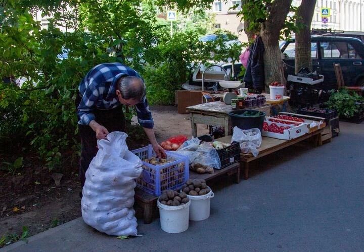 Как изменились цены на продукты в Краснодарском крае за неделю?