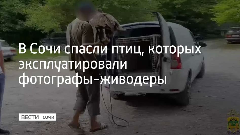 В Сочи спасли птиц, которых эксплуатировали фотографы-живодеры