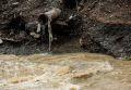 Последствия атаки БПЛА в подмосковном Домодедово оказались серьезнее, чем сообщалось ранее