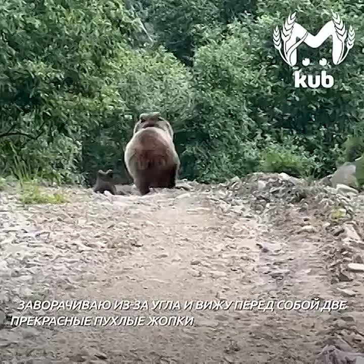 Пока вы с трудом набираете 10 тысяч шагов в день, путешественница прошла пешком от Дербента до Сочи