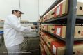 Наложен арест на 100% доли ООО «Агро-Белогорье Краснодар» — краснодарской «дочки» белгородского холдинга «Агро-Белогорье», принадлежавшего с 2024 года ГК «Русагро»