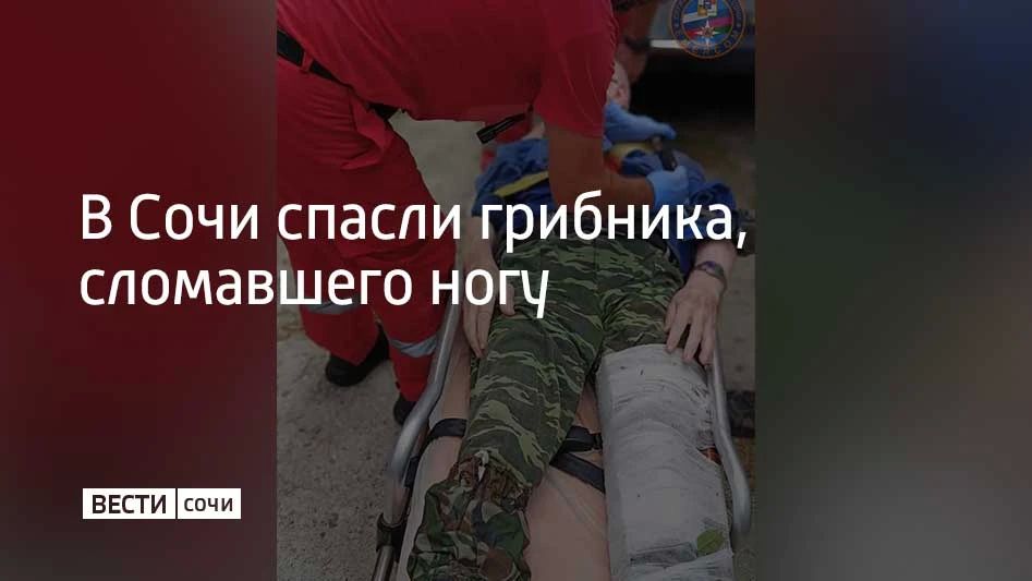 Мужчина отправился за грибами в лес неподалеку от улицы Леселидзе