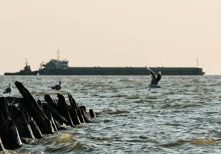 Турция стала вводить ограничения на торговое судоходство в Чёрном море из-за участившихся атак на её суда