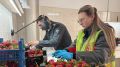 Больше трёх тысяч тонн клубники ввезли на Кубань