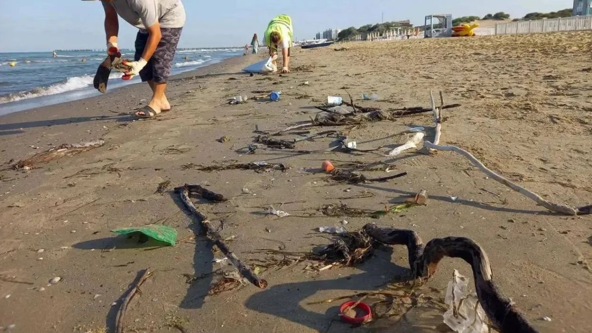С анапских пляжей с начала года вывезли 300 тонн мусора и 3,5 тонны биологических отходов