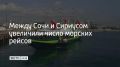 С 11 августа между Сочи и Сириусом стало больше скоростных рейсов, сообщили в департаменте транспорта и дорожного хозяйства администрации курорта