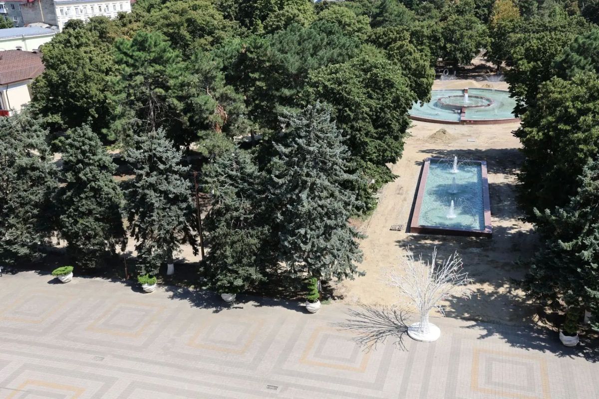 В ГОРОДСКОЙ ДУМЕ ОБСУДИЛИ ОБНОВЛЕНИЕ ЕЛЕЙ В ЦЕНТРАЛЬНОМ СКВЕРЕ