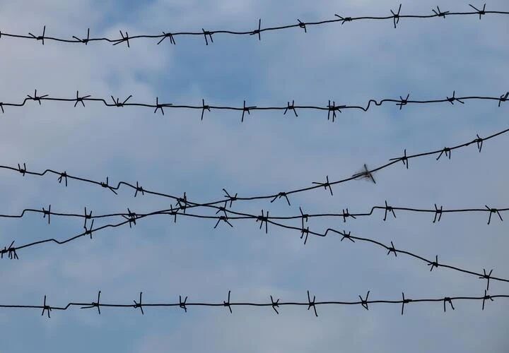 В Краснодаре продолжается судебный процесс по громкому делу о похищении и убийстве супруги местного предпринимателя