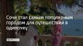 Сочи возглавил рейтинг российских городов для поездок без компании: 38% опрошенных хотят просто сменить обстановку, а каждый третий ищет в таких путешествиях романтику