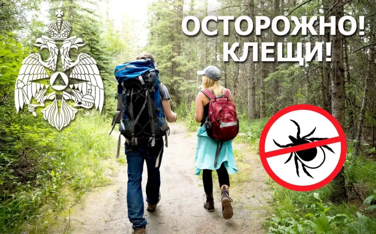 Второй пик активности клещей— будьте внимательны!