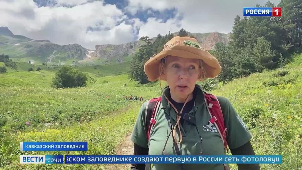 В Кавказском заповеднике создают первую в России сеть фотоловушек для наблюдения за дикими животными