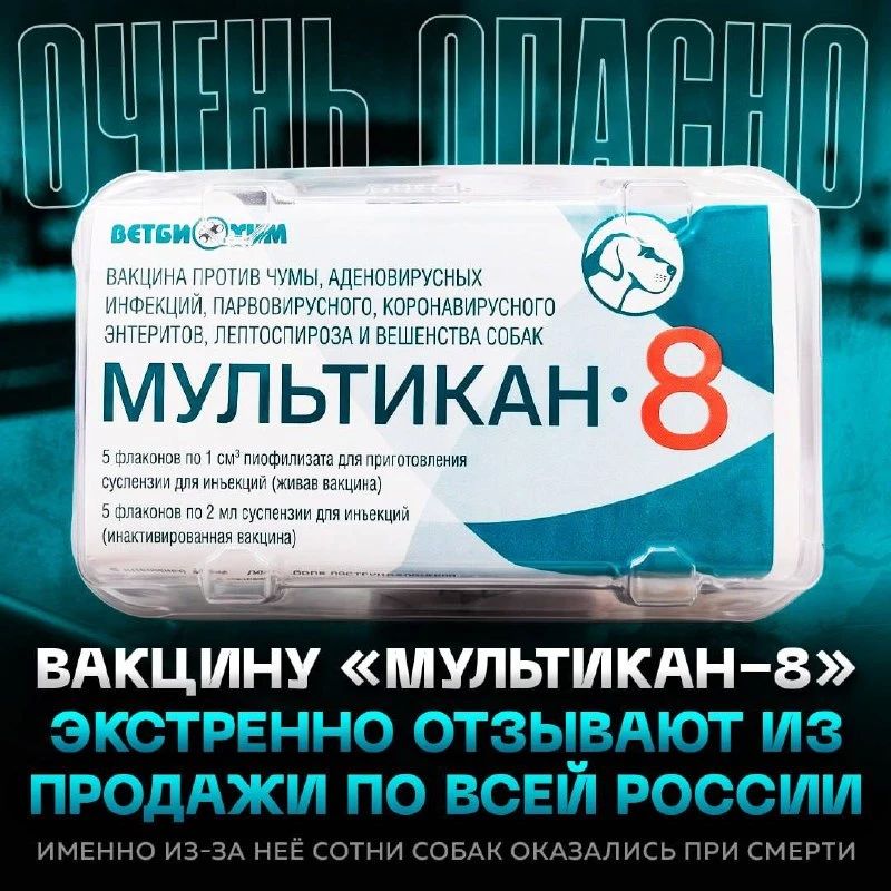 В России после вакцинации собак «Мультиканом-8» сообщили о случаях гибели животных