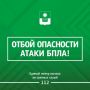 ������� ����������: ������ ����� ����������� ����������� ��������� � ���������� �����