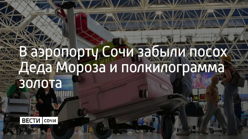 За семь месяцев в бюро находок аэропорта Сочи попали 7,6 тысячи забытых пассажирами вещей, в том числе посох Деда Мороза и 500 граммов золота, сообщили в Ассоциации туроператоров России