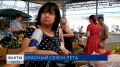 Сбор томатов в Краснодарском крае вышел на пик