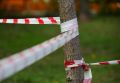 Обломки беспилотников упали в нескольких районах Краснодарского края: что известно