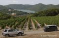 Лидерами винного туризма на Кубани стали Анапа и Геленджик, сообщили ТАСС в Роскачестве