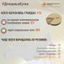 В Информационный центр СК России за прошедшие сутки всего обратилось граждан: 1176