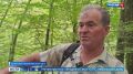 Ученые нашли священную рощу в горах Сочи