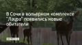 В Сочи в вольерном комплексе "Лаура" появились новые обитатели