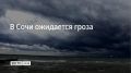 В Сочи и на федеральной территории Сириус 27 августа до конца дня местами ожидается гроза, сообщили в администрации курорта