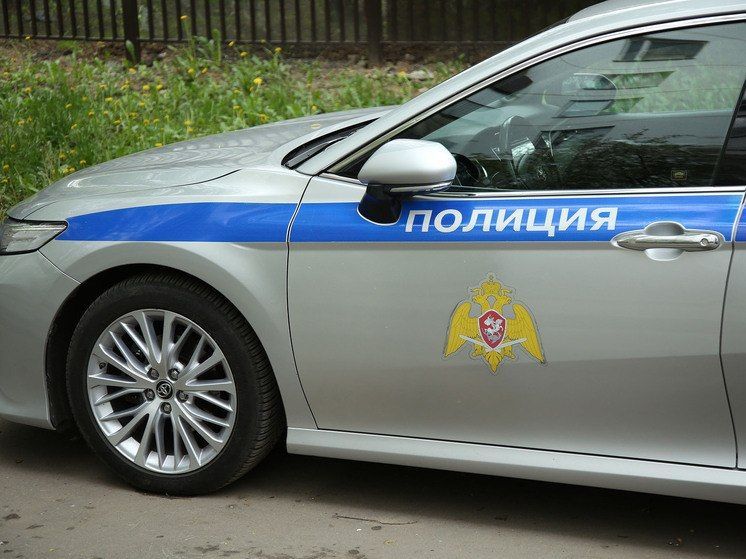 В Подмосковье нашли убитым 12-летнего школьника — подозреваются две девочки