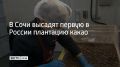 ������ � ������ ��������� ����� ��������� �������� � ����
