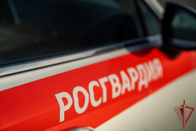 На Кубани сотрудники Росгвардии пресекли нарушения общественного порядка в гостиницах