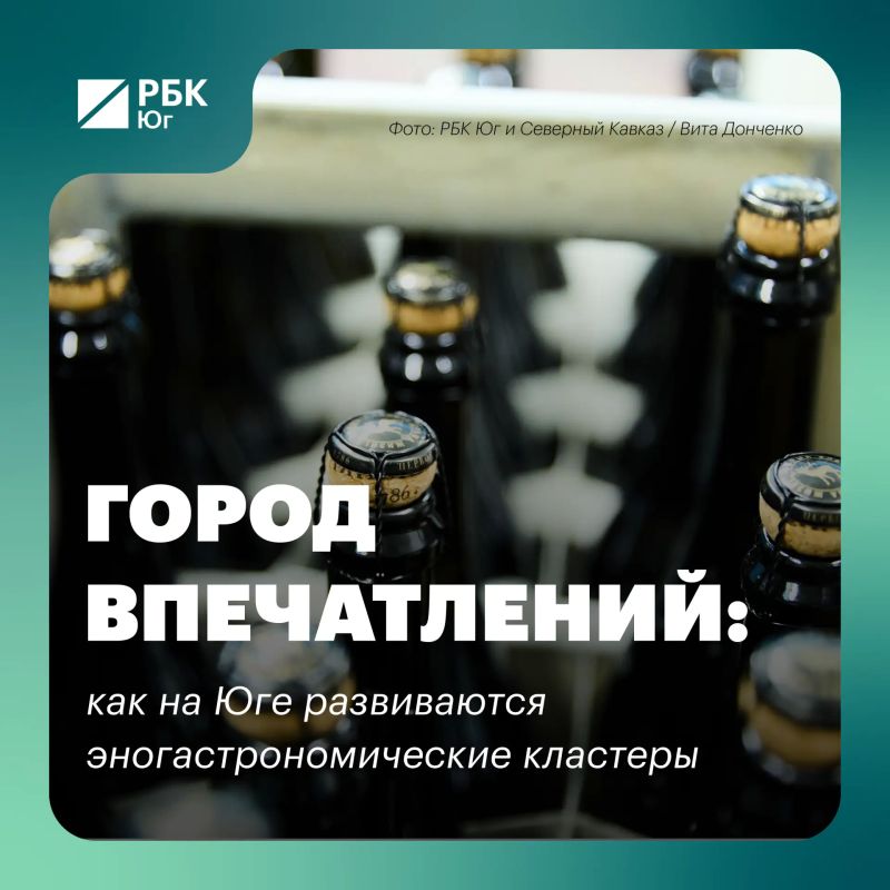 Город впечатлений: как на Юге развиваются эногастрономические кластеры
