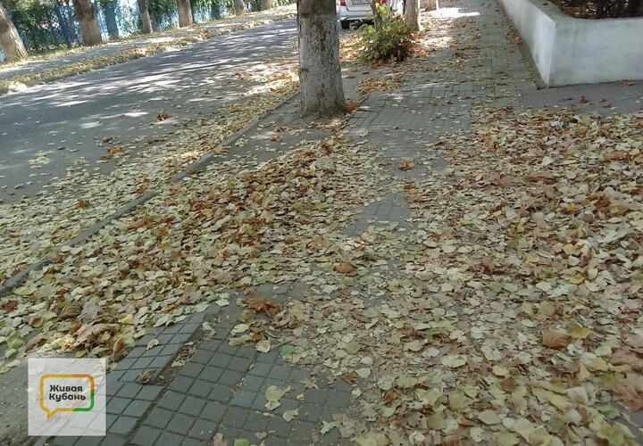 Сентябрь в европейской части России обещает быть теплее обычного