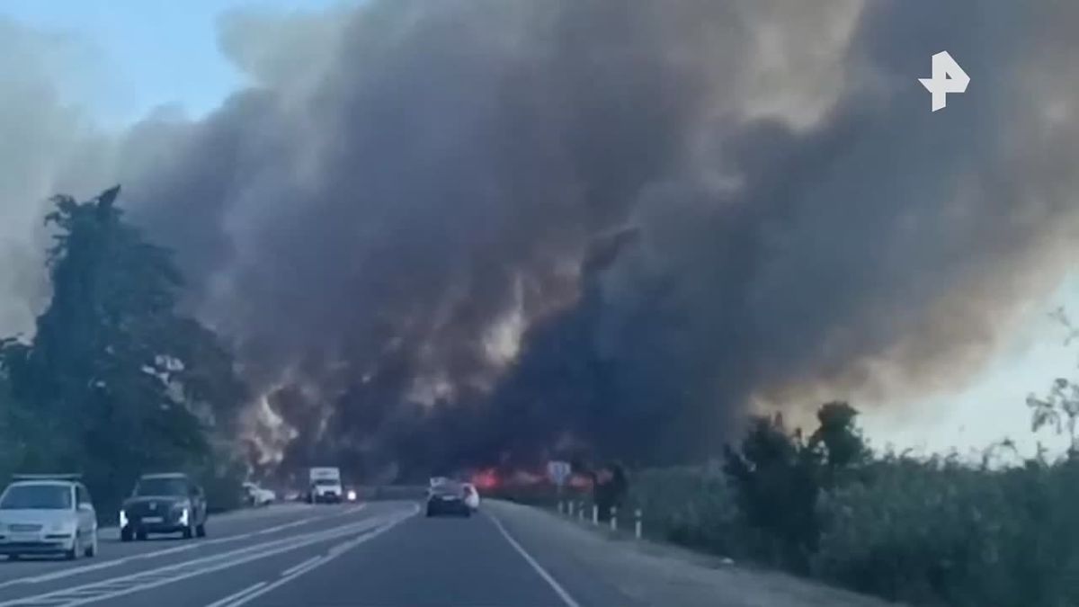 Мощный пожар полыхает в Анапе — горит большая территория с камышами
