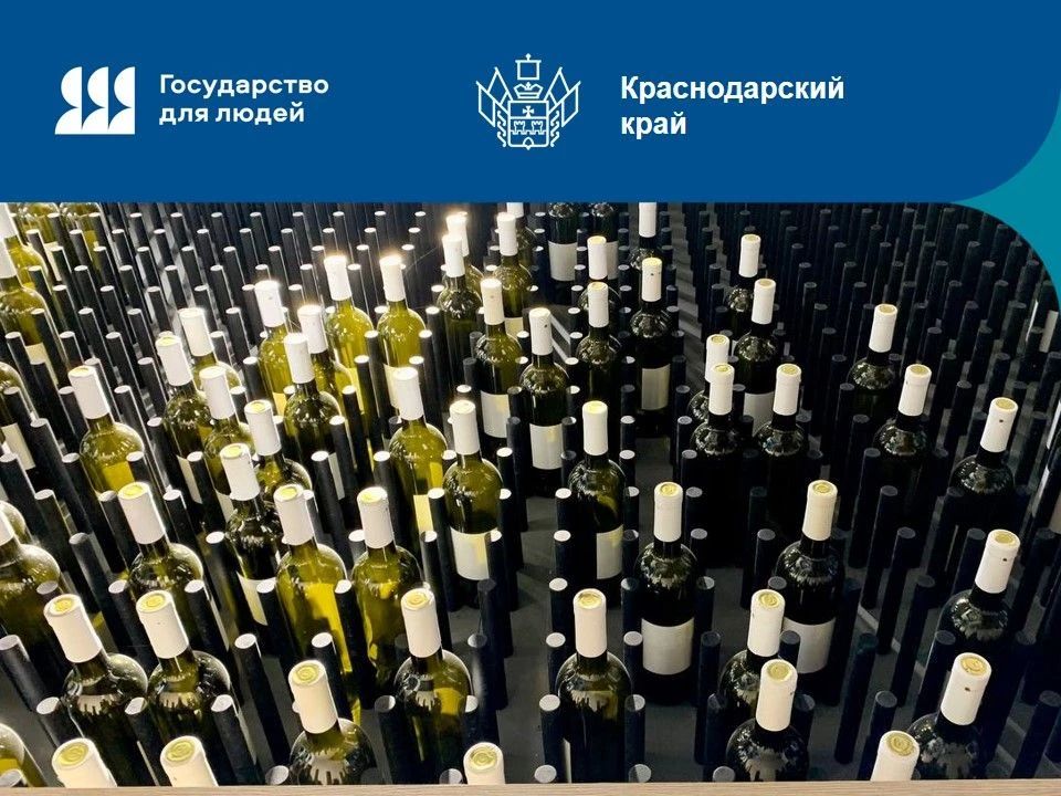 Заявления на получение лицензий на продажу алкоголя можно будет подать только онлайн