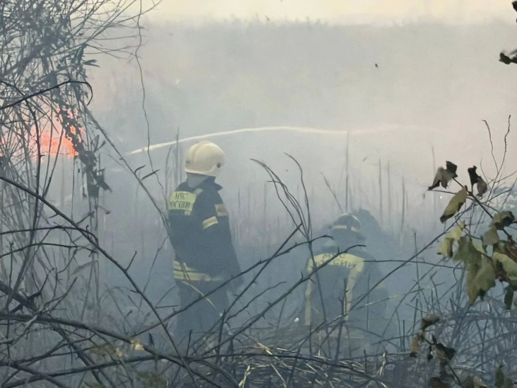 Площадь пожара под Анапой сократилась до 0,5 га, возгоранию присвоен четвертый ранг
