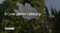� ���� ������ ��������. �������� ���������� � ��� ���������� �������� �� ���� ���� ������ ���� ���������: ����� ��� �����������, � �������� ��� ��������, � � ������ ���������� ���������-����������